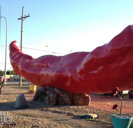 Big Chile Inn & Suites Las Cruces Esterno foto