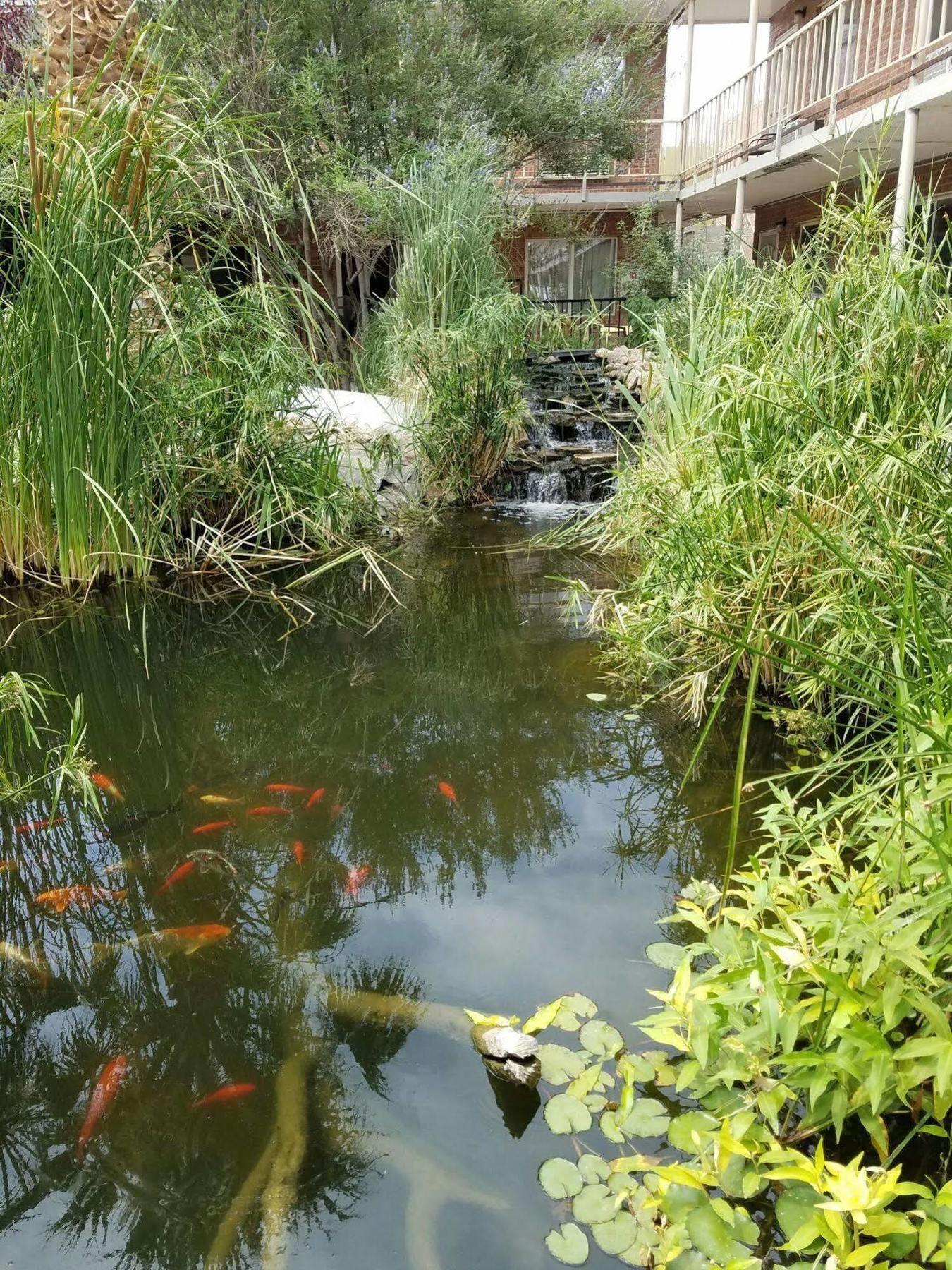 Big Chile Inn & Suites Las Cruces Esterno foto